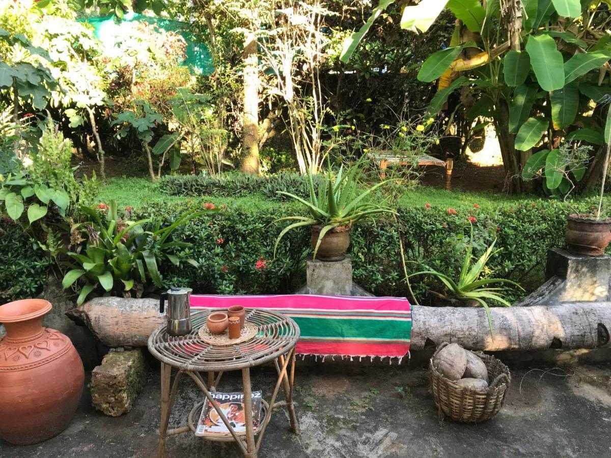バルカラ Arabian Soul Bed & Breakfast エクステリア 写真